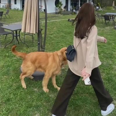 两个四月